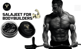 Salajeet / Shilajit For Bodybuilders