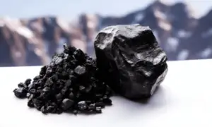 Shilajit Wholesale (Salajeet)